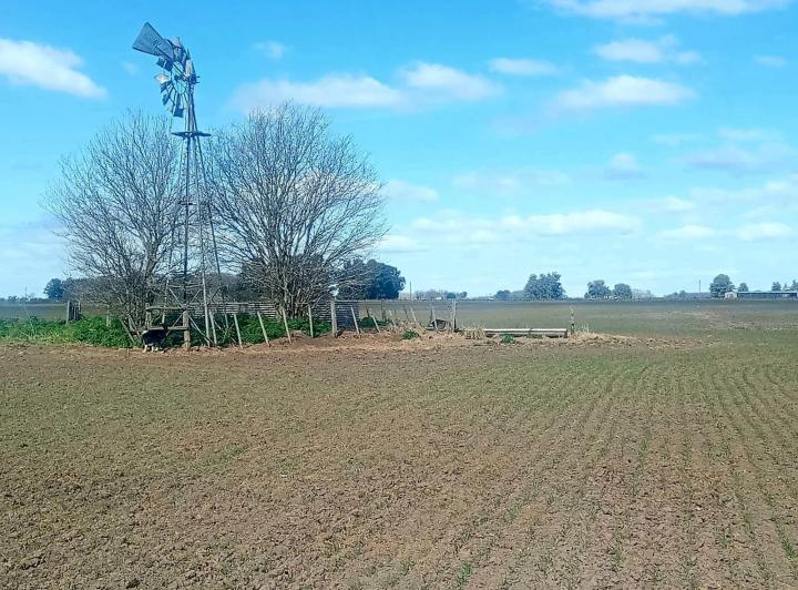 Terreno · 450000m²
