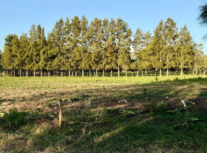 Terreno · 525m²