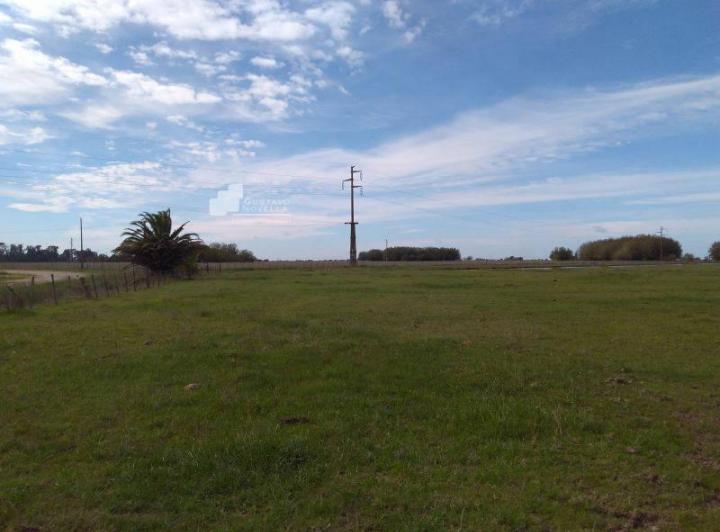 Quinta vacacional · 19ha · 1 Ambiente
