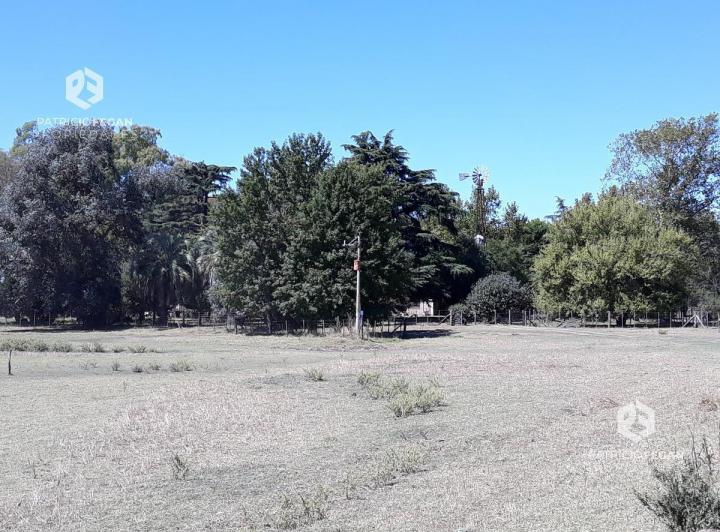 Campo · 3200000ha