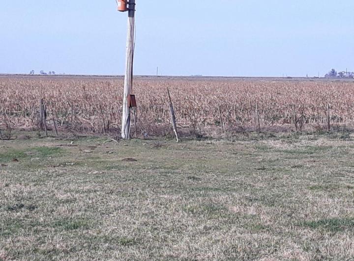 Campo · 870m²