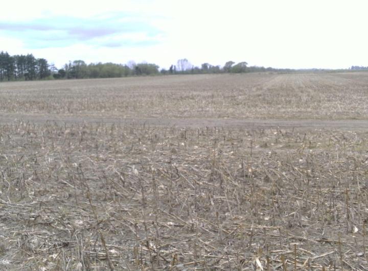 Campo · 1000m²