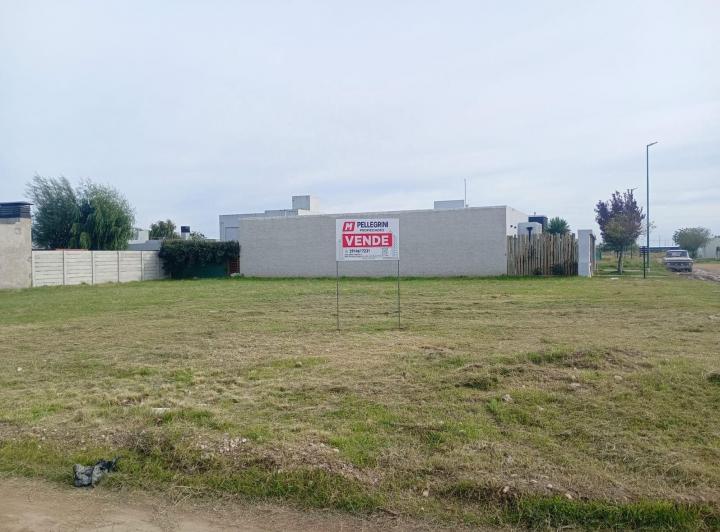 Terreno · 593m² · 1 Ambiente