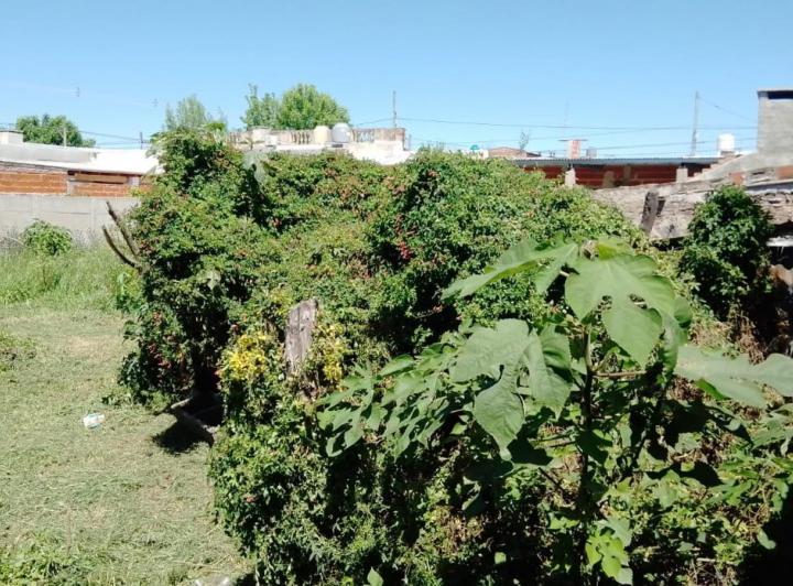 Depósito · 135m² · 1 Ambiente