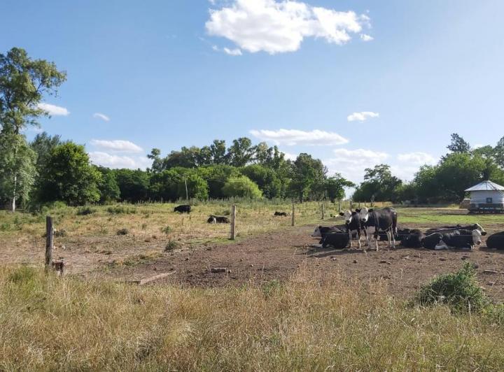 Campo · 163000m²