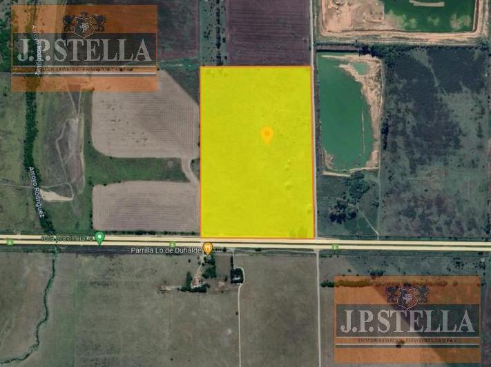 Campo · 381805m²