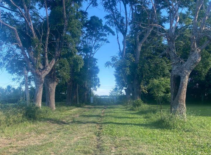 Quinta vacacional · 110m² · 1 Ambiente