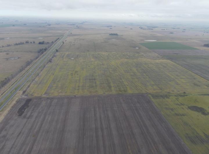 Campo · 222m²