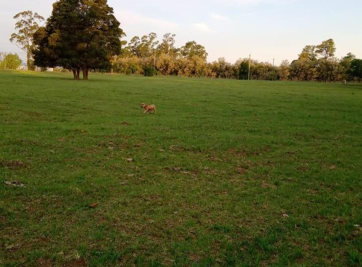 Terreno · 17500m²