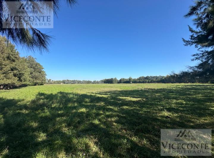 Campo · 41710m²