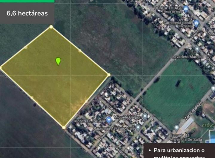 Campo · 66000ha