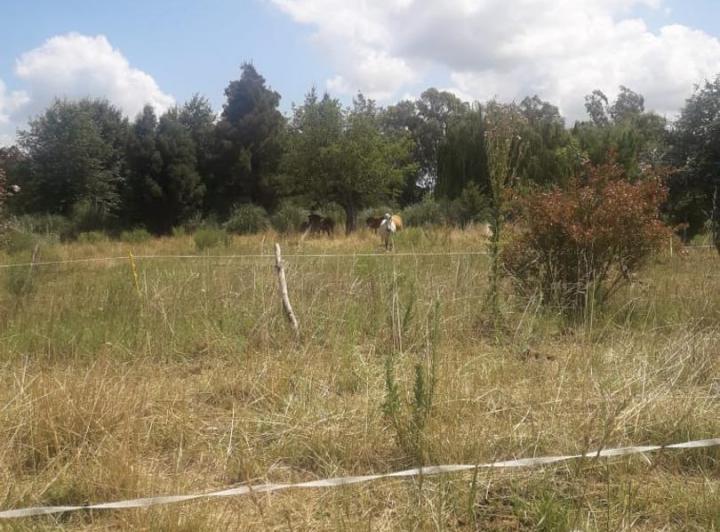 Terreno · 60000m²