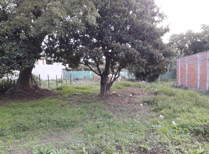 Terreno · 479m²