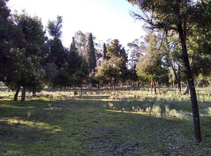 Campo · 45327m²
