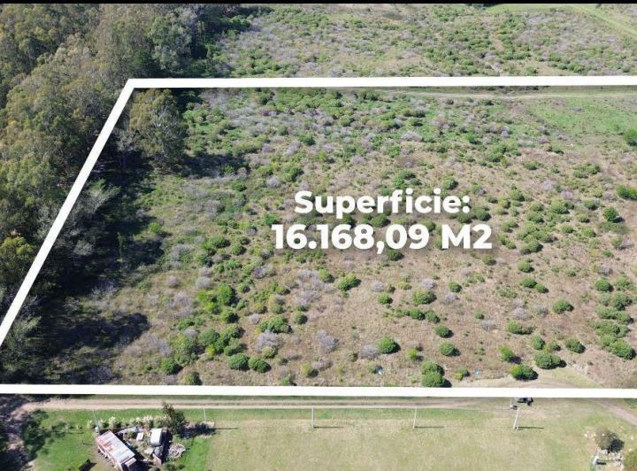 Terreno · 16168m²