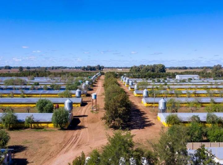 Campo · 1132m²