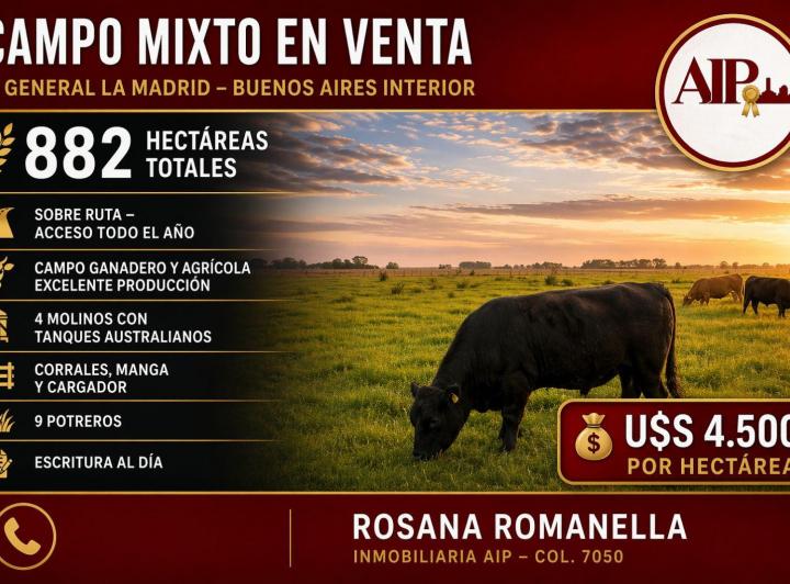 Campo · 9 Ambientes