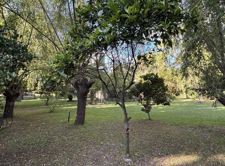 Quinta vacacional · 100ha · 4 Ambientes