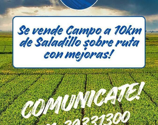 Campo · 298m²