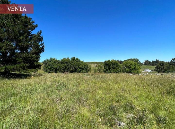 Terreno · 16874m²