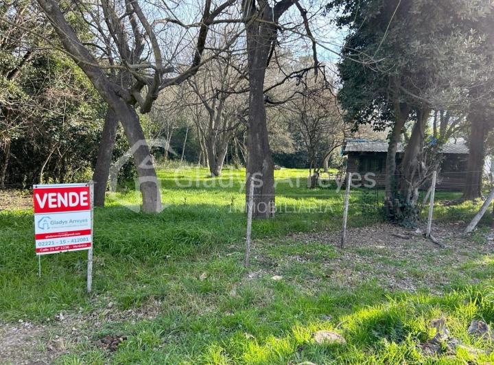 Terreno · 6921m²