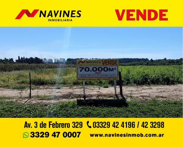 Campo · 300m²