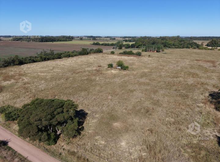 Quinta vacacional · 45000m²