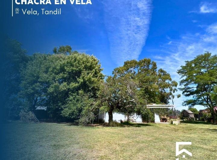Campo · 25000m² · 3 Ambientes