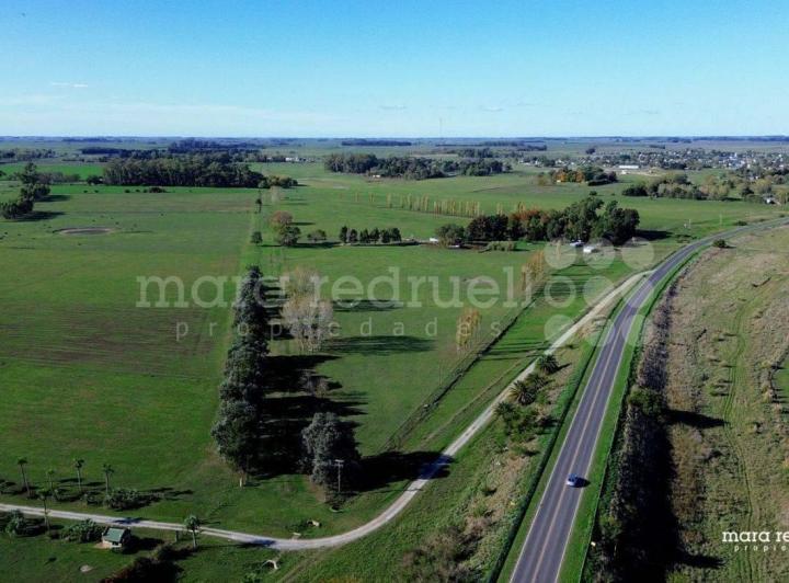 Campo · 500m²
