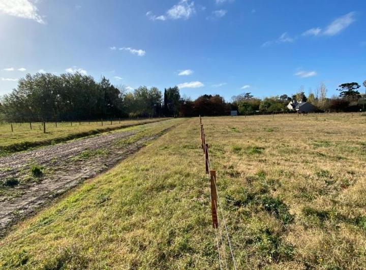 Terreno · 665m²