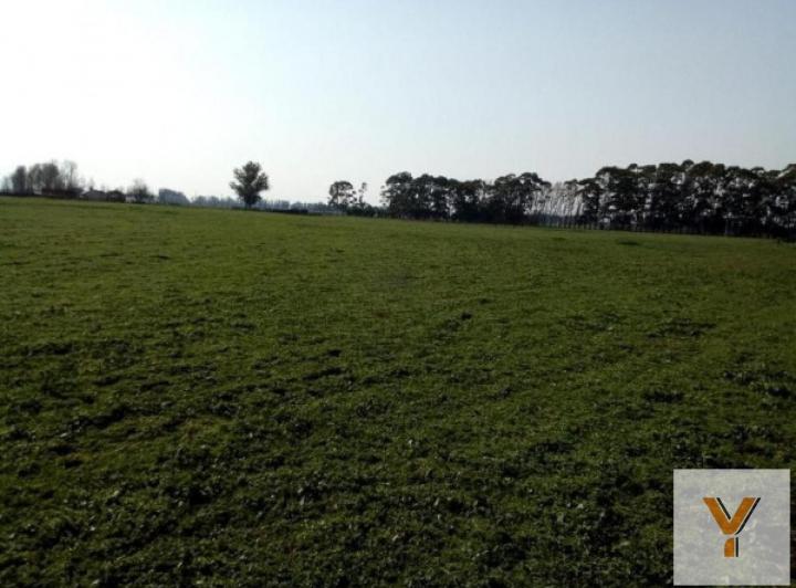 Campo · 2420000m²