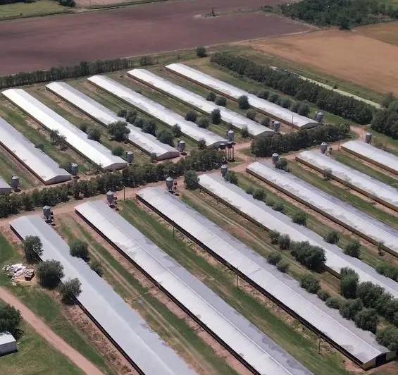 Campo · 60000ha · 11 Dormitorios