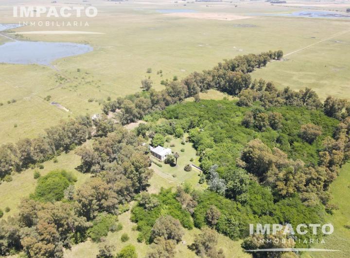 Campo · 338ha
