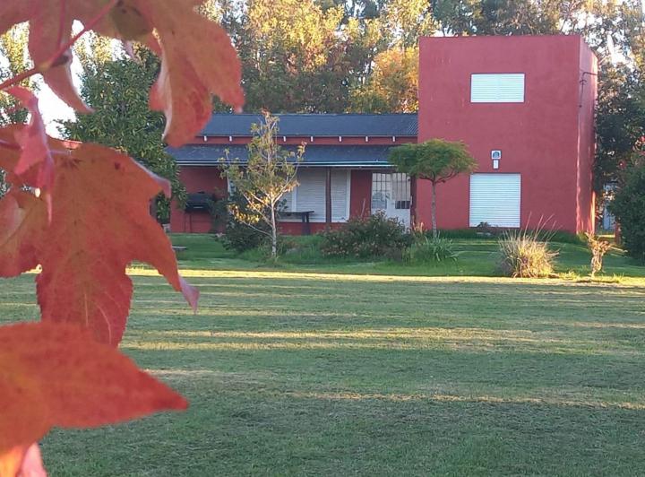 Campo · 80m² · 3 Ambientes