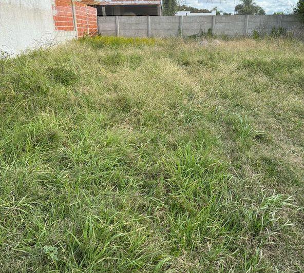 Terreno · 184m²