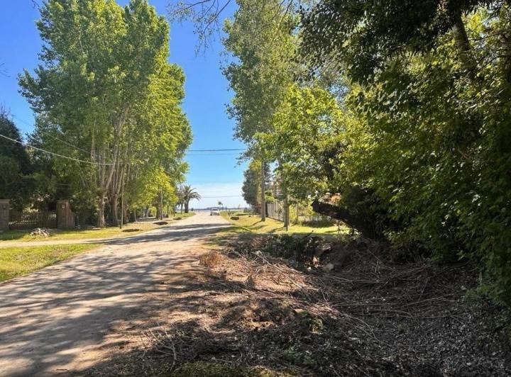 Terreno · 976m²