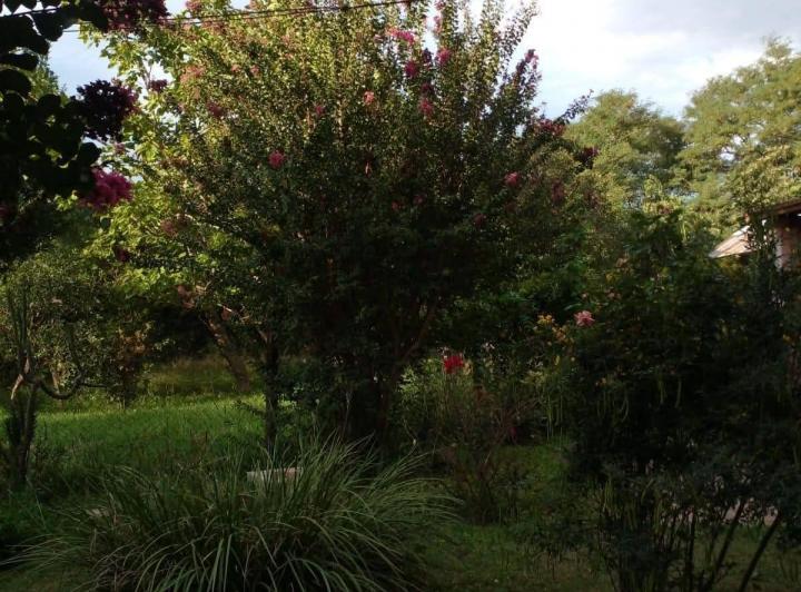 Campo · 11m² · 4 Ambientes