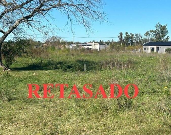 Terreno · 1000m²