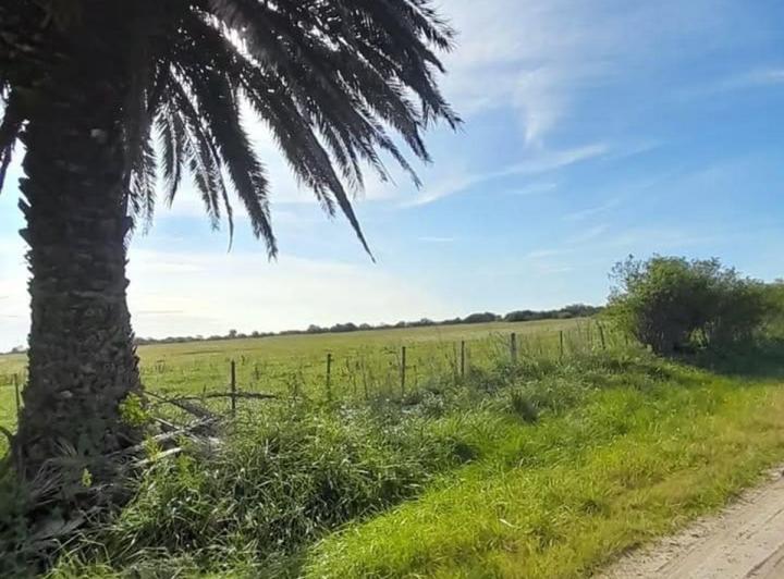 Campo · 143000m²