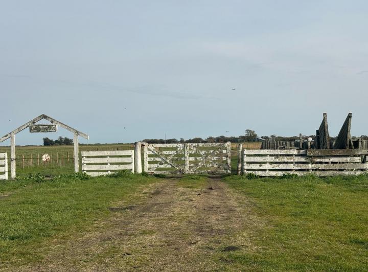 Campo · 1443m² · 2 Ambientes