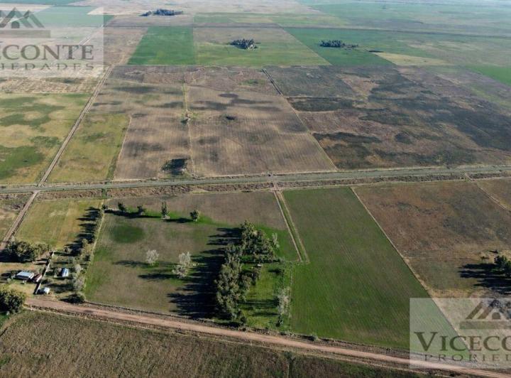 Campo · 106m²