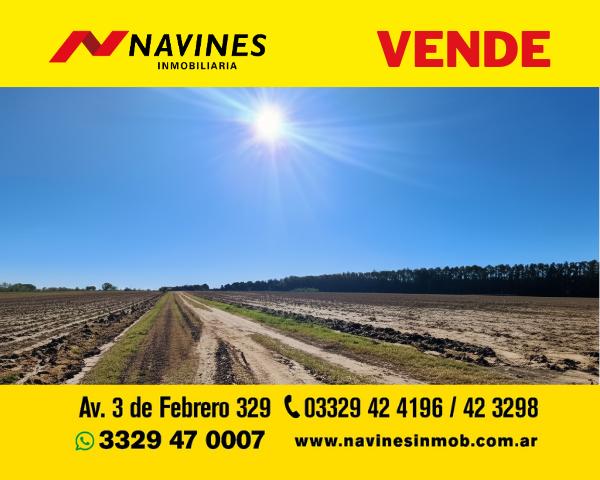 Campo · 140000m²