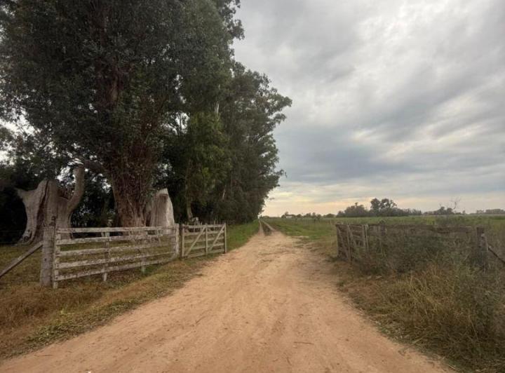 Campo · 27m²