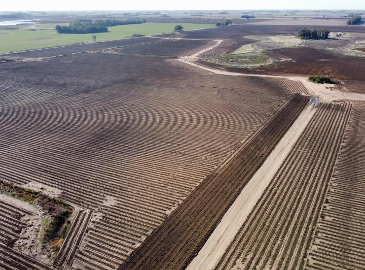 Campo · 1m² · 5 Ambientes