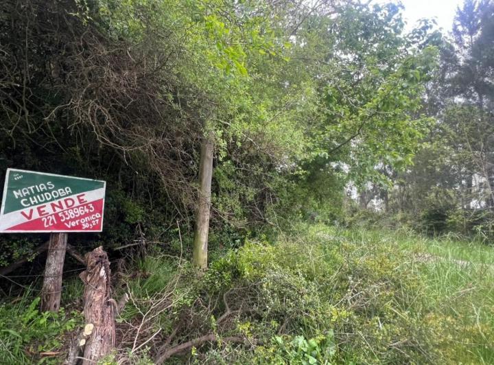 Terreno · 5000m²