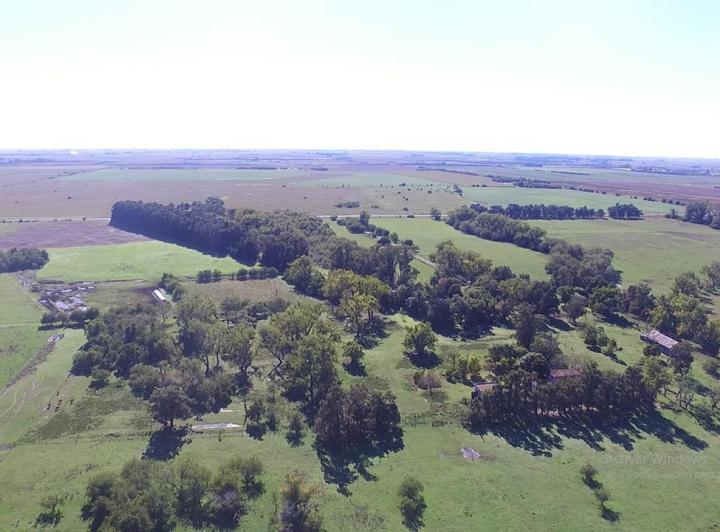 Campo · 3000000ha