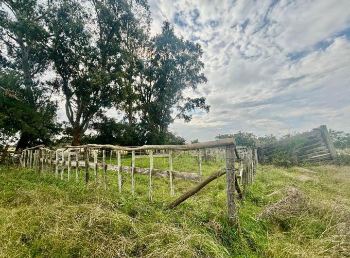 Campo · 35ha