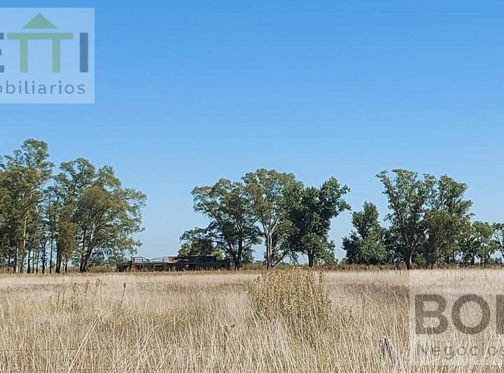 Campo · 380000m²