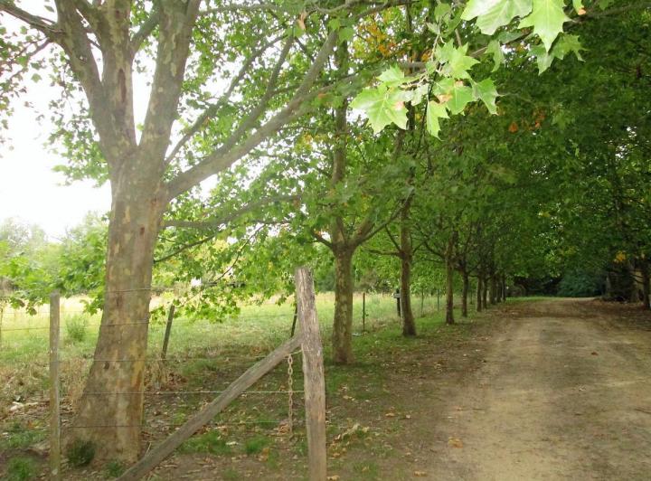 Terreno · 806m²