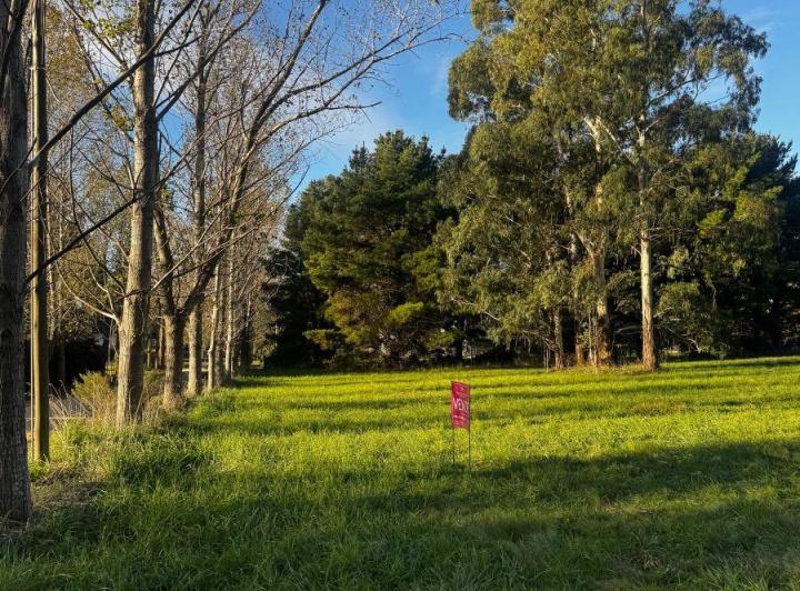 Terreno · 3383000m²